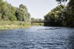 Integration der schlanken Brücke in die Natur (© Oliver Jaist)