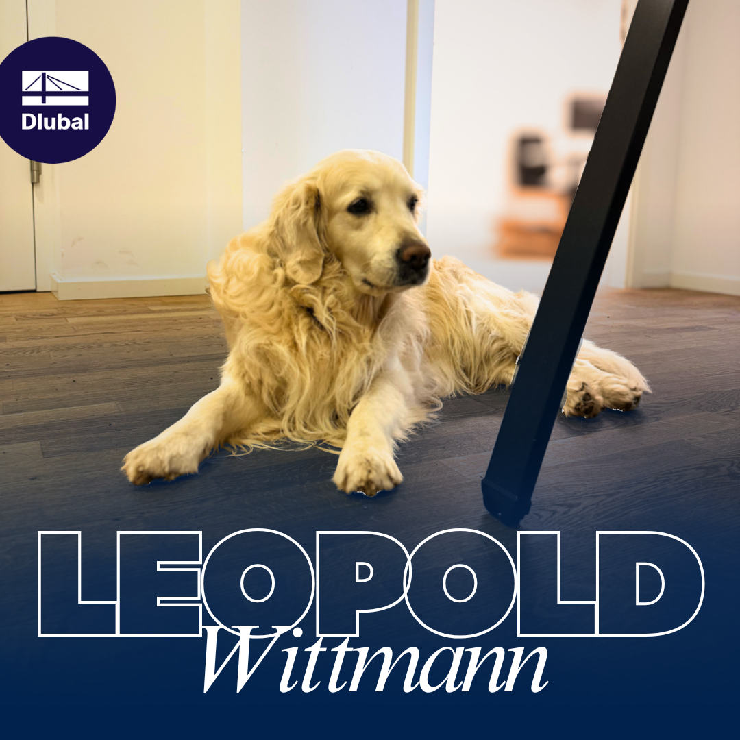 Zlatý retrívr Leopold Wittmann, ležící na dřevěné podlaze v kanceláři Dlubal, si poklidně prohlíží pracovní prostor.
