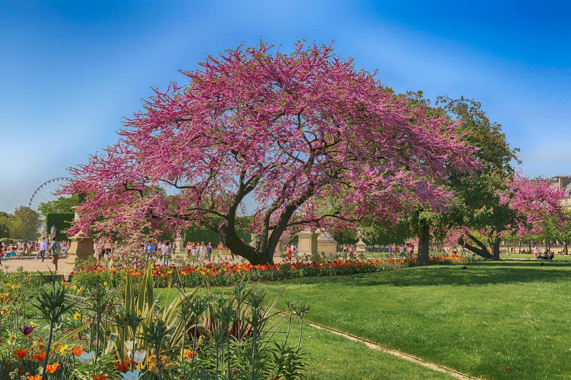 Panoramatický výhled na Jardin des Tuileries v Paříži s udržovanými zelenými plochami a historickými sochami