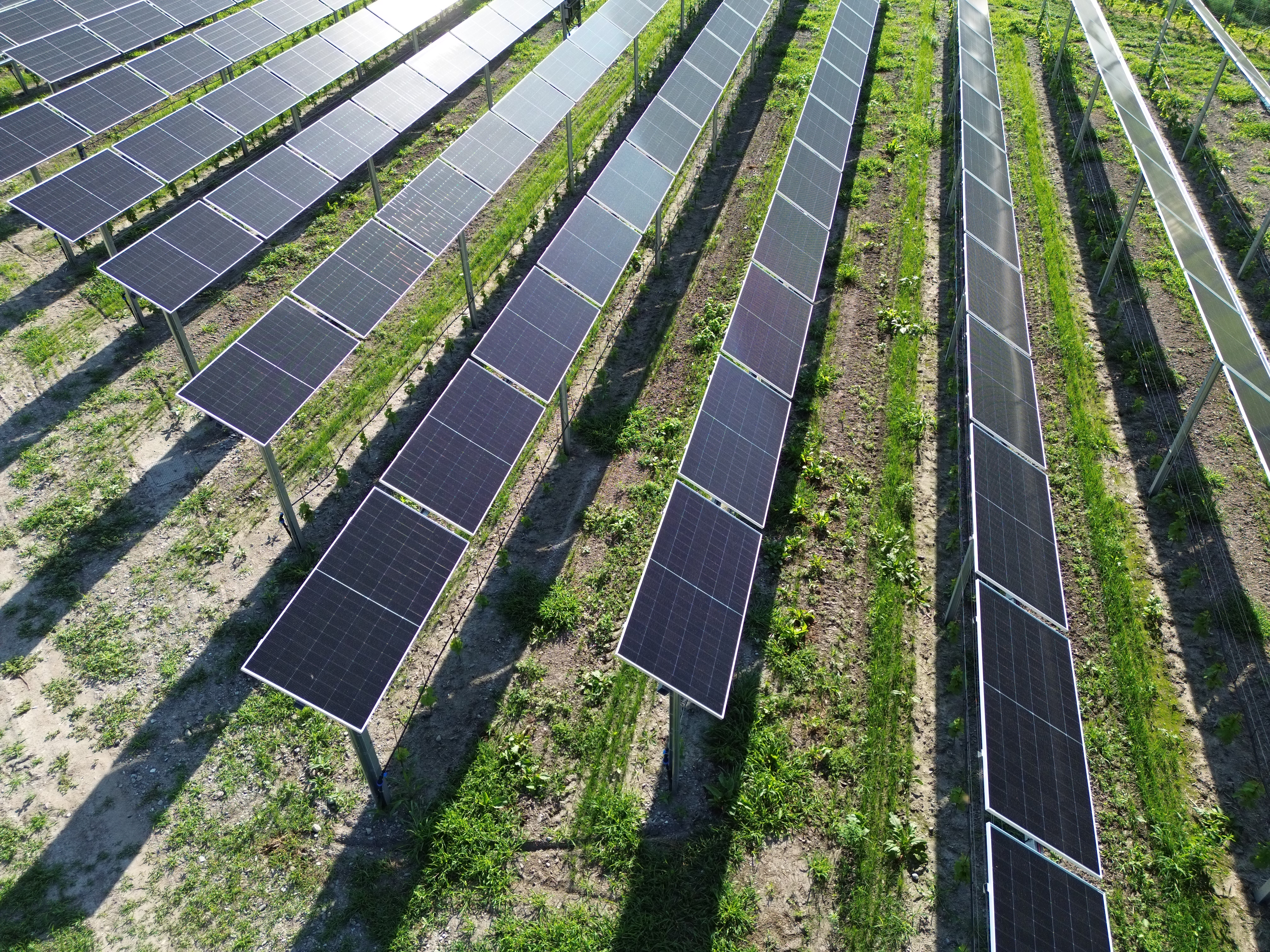 Pohled na fotovoltaický systém se solárními panely na velké ploše