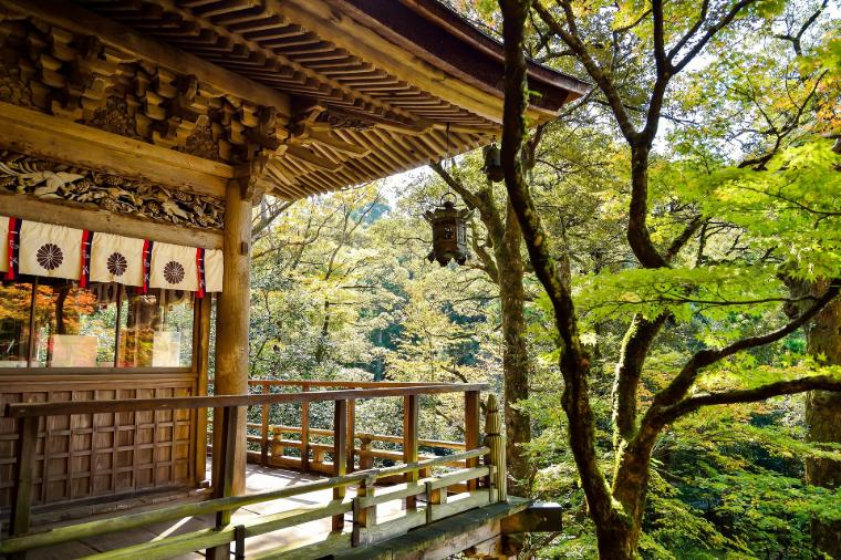 Detailní pohled na tradiční japonskou dřevěnou konstrukci se složitými střešními konstrukcemi, vyřezávanými ozdobami, krytou dřevěnou chodbou a okolní přírodou na podzim.