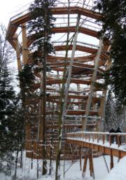 Aussichtsturm in Bad Wildbad mit anschließendem Baumwipfelpfad (© WIEHAG GmbH)