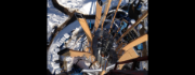 RSTAB-Modell des Aussichtsturms am Pyramidenkogel