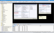Excel Export