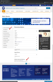 Webservice Identität in Dlubal-Konto