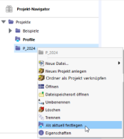 Kontextmenü eines Projekts aufrufen