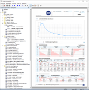 Ausdruckprotokoll mit Daten der dynamischen Analyse