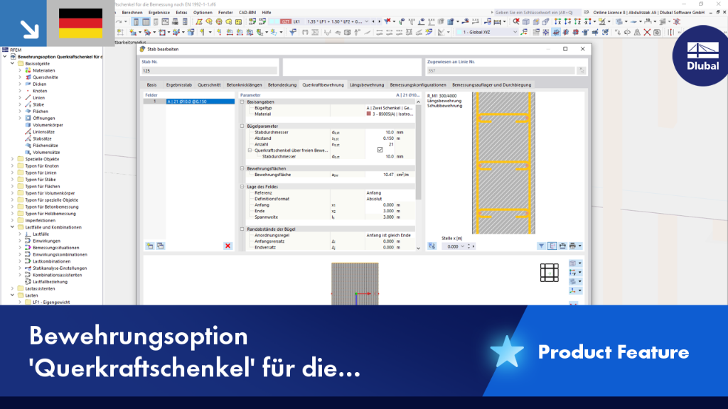 Option Querkraftschenkel im Dlubal-Bemessungstool nach EN 1992-1-1. Visualisierung der Bewehrungsbemessung mit spezifischen Schenkeln.