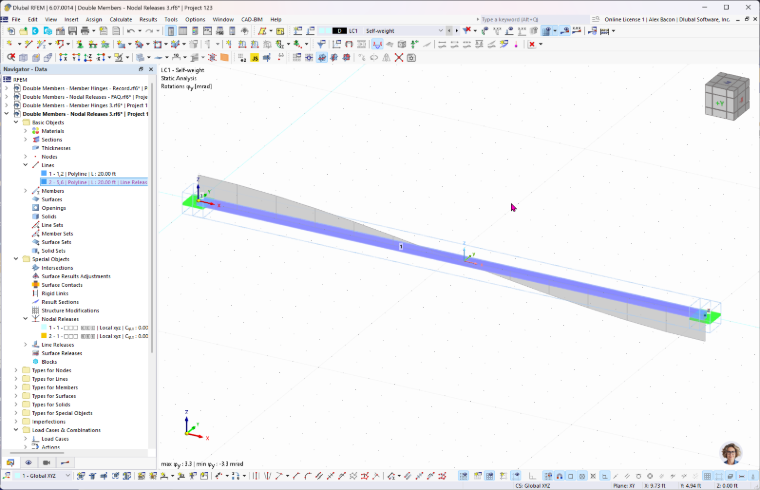 FAQ 005607 | Kann man in RFEM 6 einen doppelten Stab modellieren?