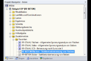 Übersicht über die Optionen des Zusatzmoduls RF-BETON Flächen im Daten-Navigator der Statiksoftware.