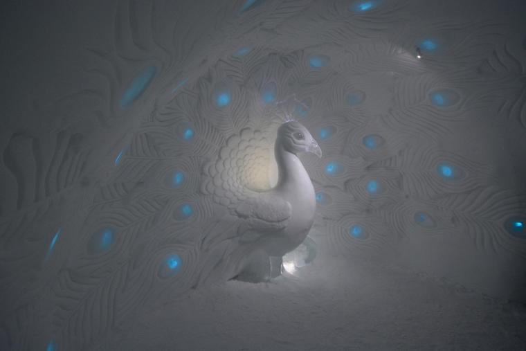 Ein beeindruckender Pfau aus Eis im Icehotel in Schweden, in einem kunstvoll gestalteten Hotelzimmer.