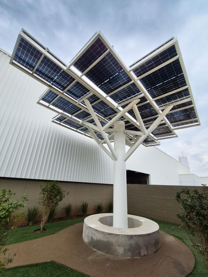 Stabile Stahlkonstruktion für die Installation von Photovoltaikanlagen in Form eines baumartigen Bauwerks.