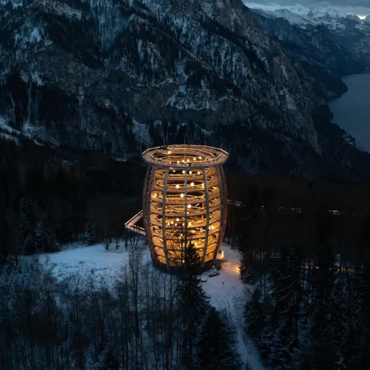 Aussichtsturm aus Holz mit angrenzendem Baumwipfelpfad in der üppigen Waldlandschaft von Grünberg.