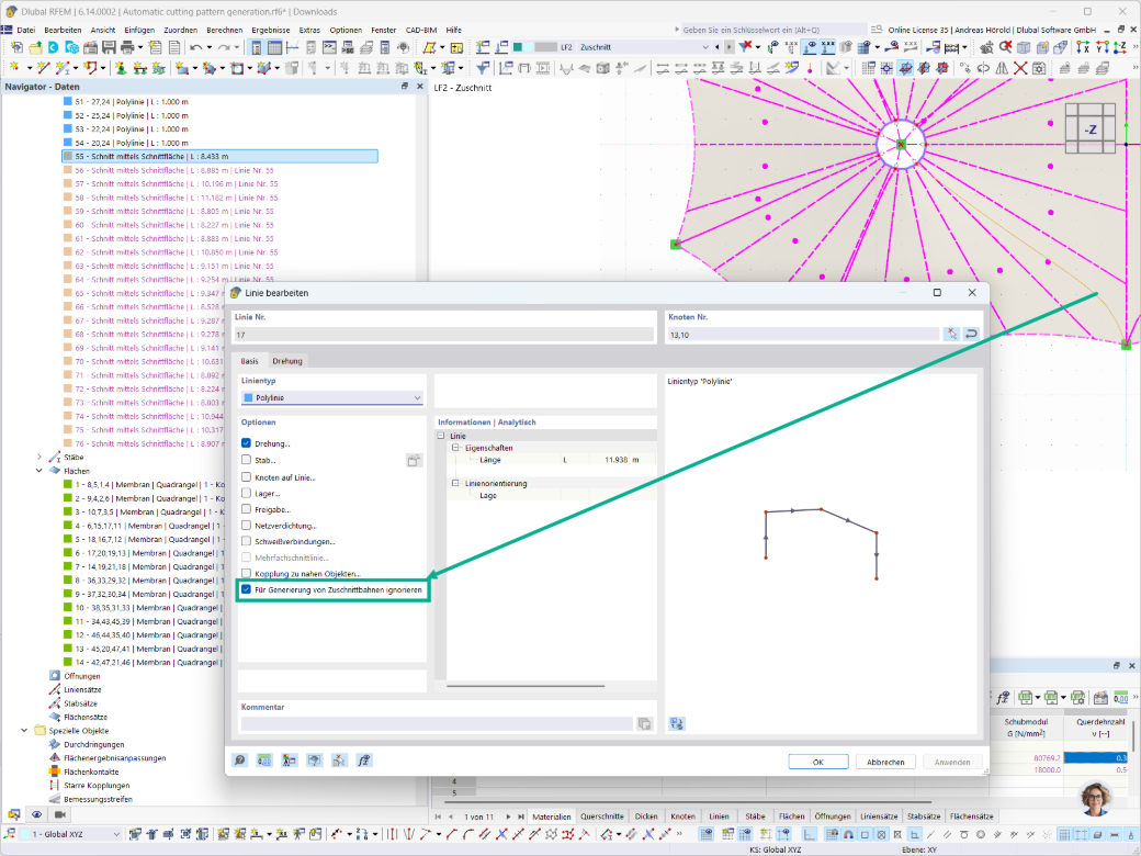 Option zum Ignorieren von Linien bei der Zuschnittgenerierung in RFEM und Add-On Zuschnitte für optimale Schnittmuster.