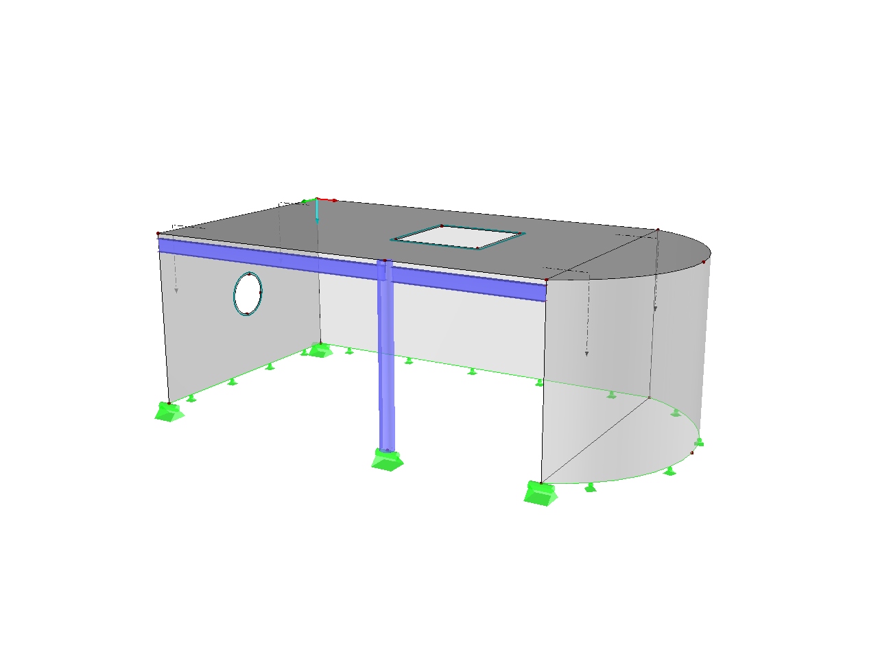 Model Image