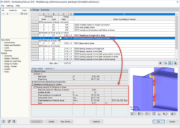 Summary of Design Checks in RF-JOINTS Steel - Pinned