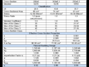 Design Results in RF-/STEEL EC3
