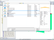 Opening RX-TIMBER Model in RFEM 5 or RSTAB 8