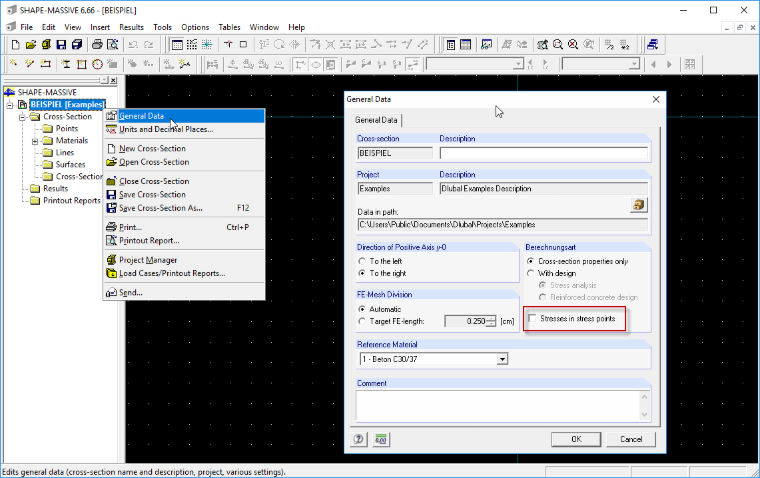 Setting General Data in SHAPE-MASSIVE