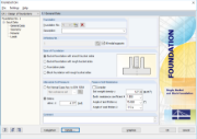 Dialog Box 1.1 General Data in FOUNDATION