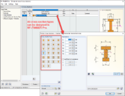 Cross-Section Design Options in RF-/TIMBER Pro