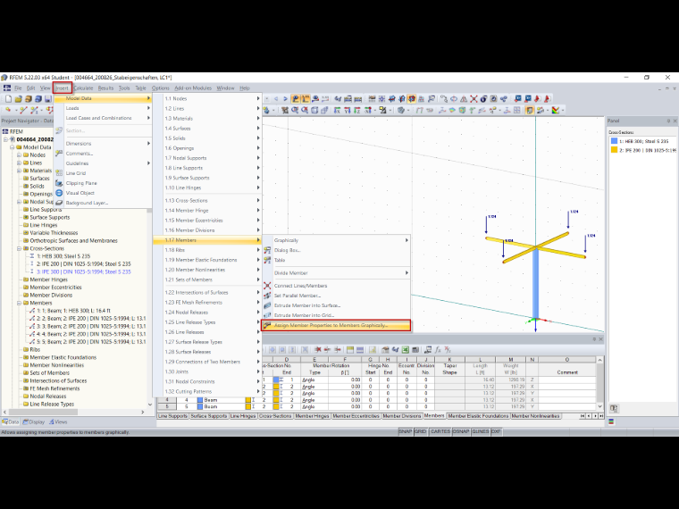 Function "Assign Member Properties Graphically"