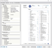Defining Company Name in Header