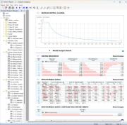 Printout Report with Data from Dynamic Analysis