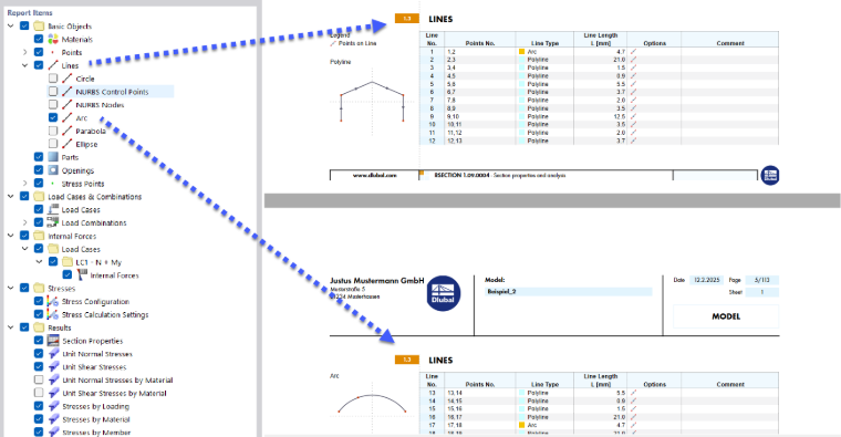 Selected Report Items (Left) and Chapter Content (Right)