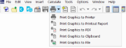 Selecting Option for Graphic Printout