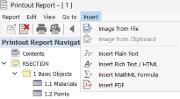 Printout Report Menu "Insert"