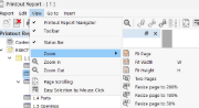 Printout Report Menu "View"