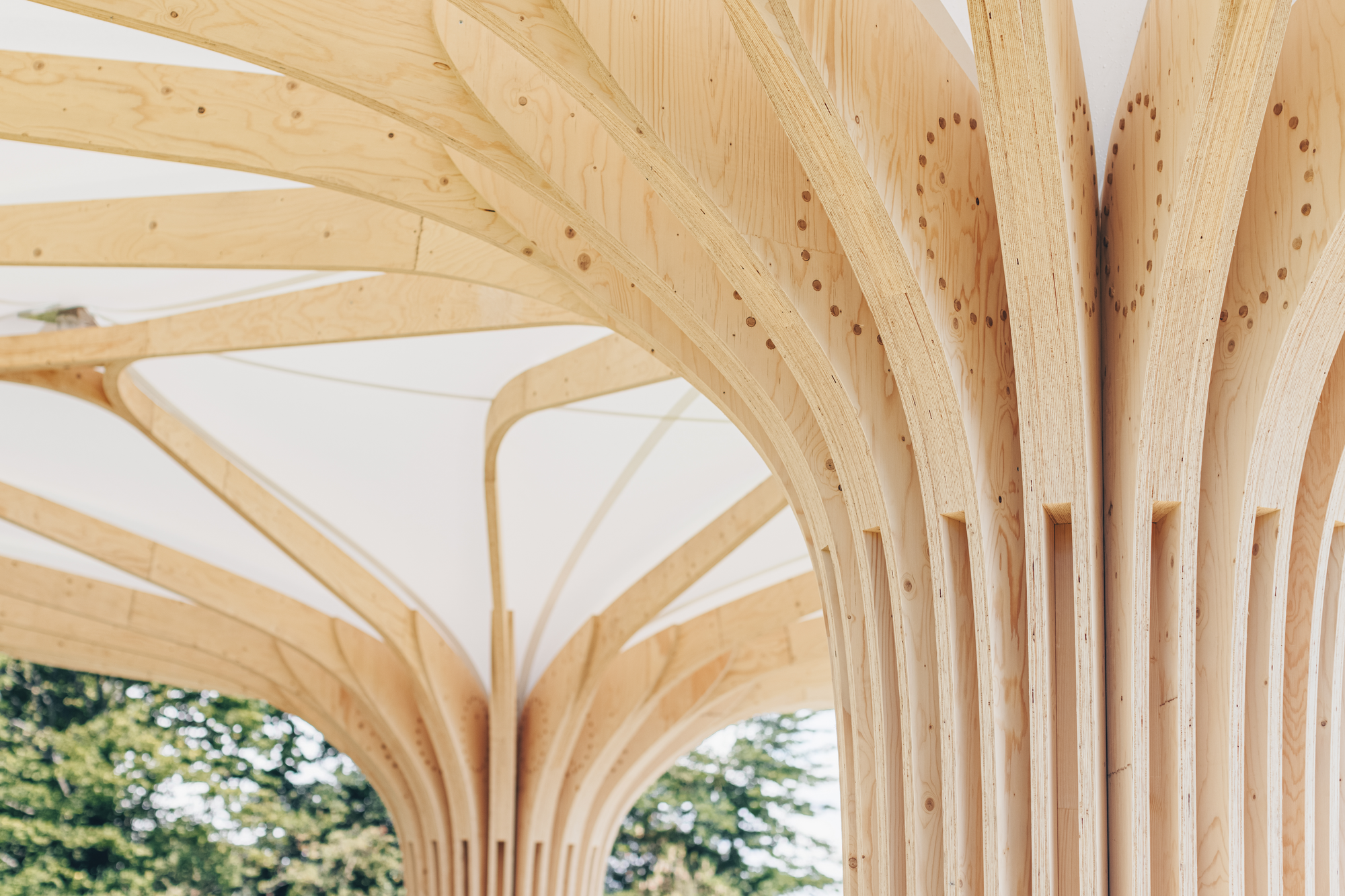 Detailed View of Circular Dowel Connections (© Blumer-Lehmann AG)