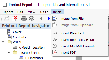 Printout Report Menu "Insert"