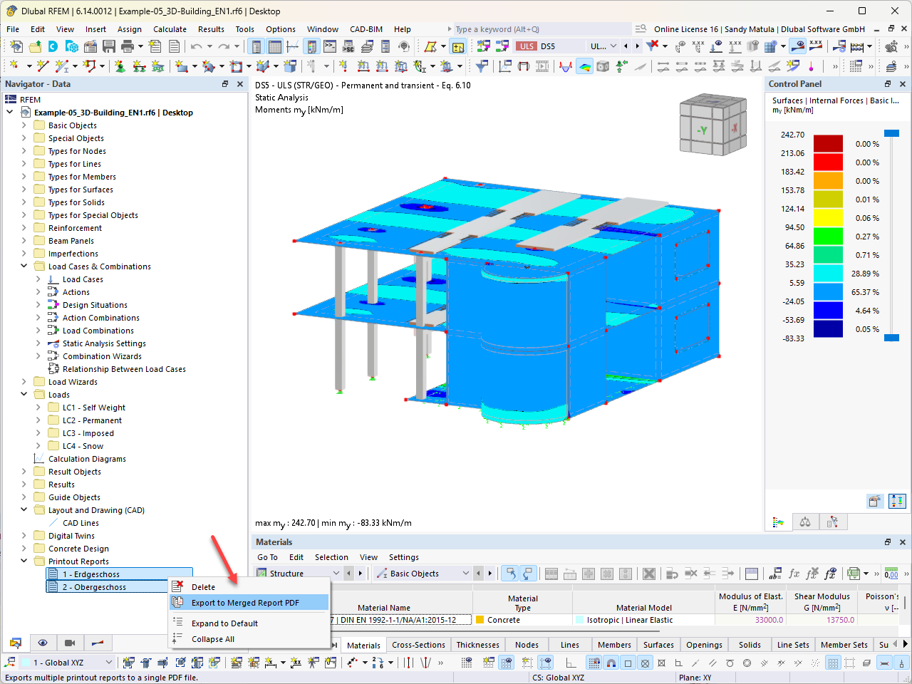 The PDF export function for printout reports in the RFEM user interface is displayed.