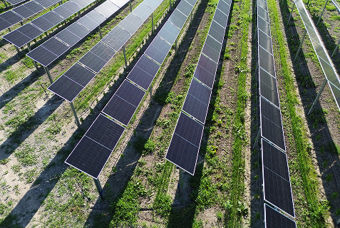 The image depicts photovoltaic systems designed by ALPEAS in Italy, arranged over a vineyard to handle high wind loads using RFEM software.
