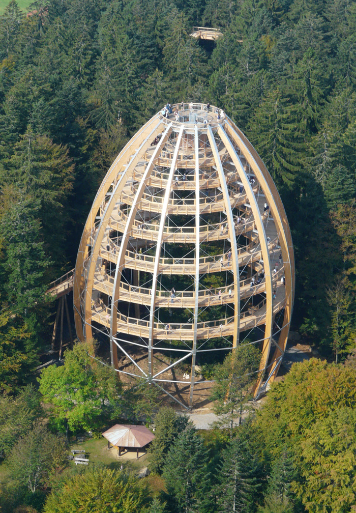 La torre del árbol a vista de pájaro (© WIEHAG)
