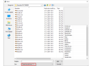 Opción para filtrar tipos de archivo