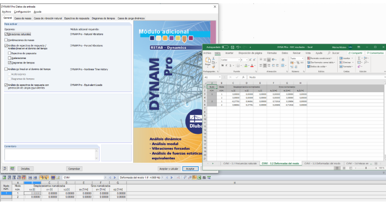 Exportación de resultados desde DYNAM Pro a través de la interfaz COM