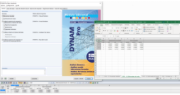 Exportación de resultados desde DYNAM Pro a través de la interfaz COM