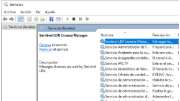 Detener y reiniciar Service Sentinel LDK License Manager