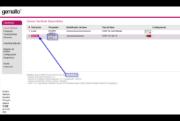 Visualización de la IP del servidor