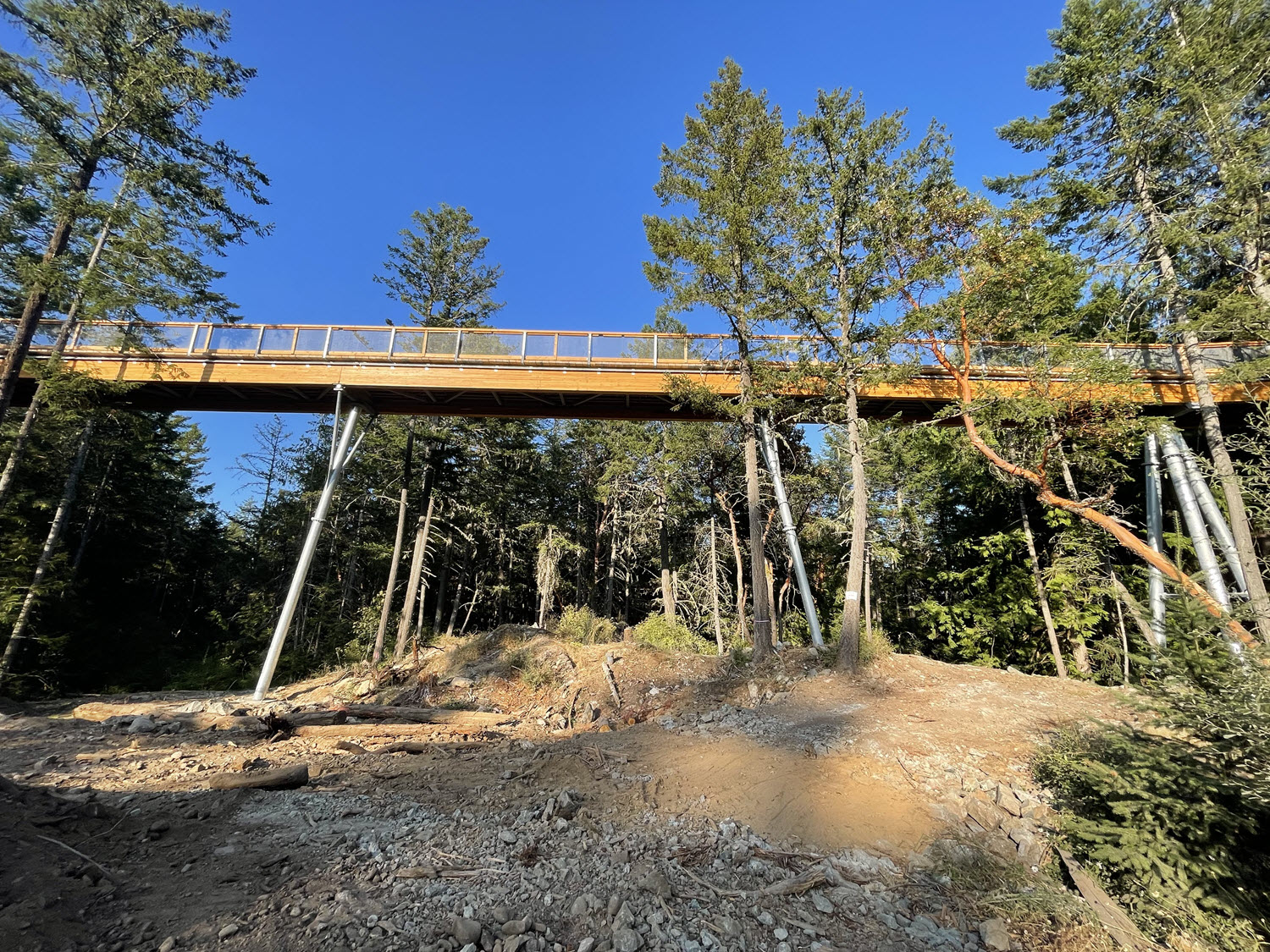 Pasarela SkyWalk de Malahat (© Aspect Structural Engineers)