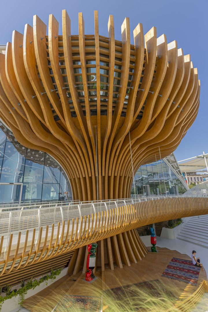 Pasarela frente al pabellón (© Rubner - Versatile Synergy)