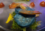 ¿Las gambas siguen siendo buenas? La llamada comida extraterrestre fue recibida con reacciones bastante mixtas por muchos (Imagen: LynnMarie Wolverton/BusinessInsider).