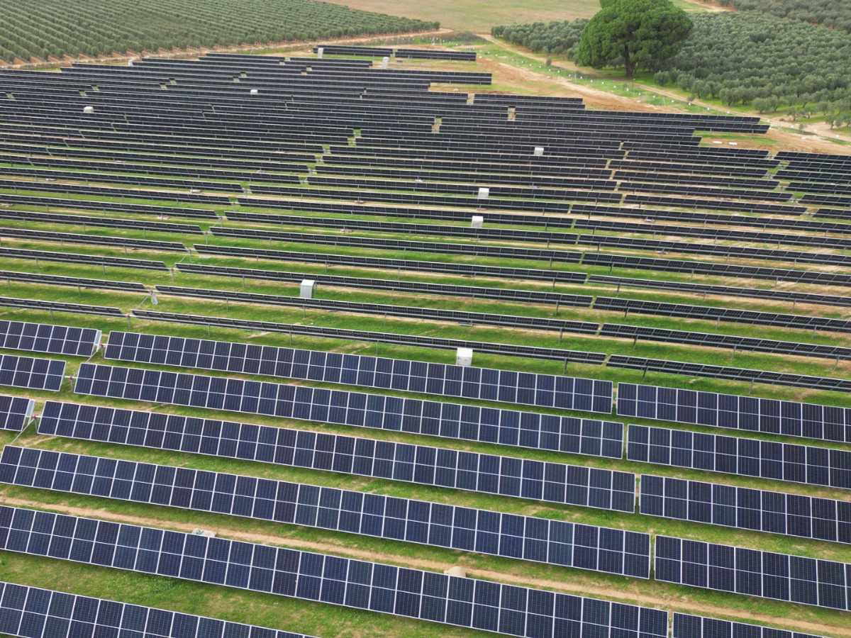 Seguidores solares vistos desde el aire, destacando su disposición en el terreno.