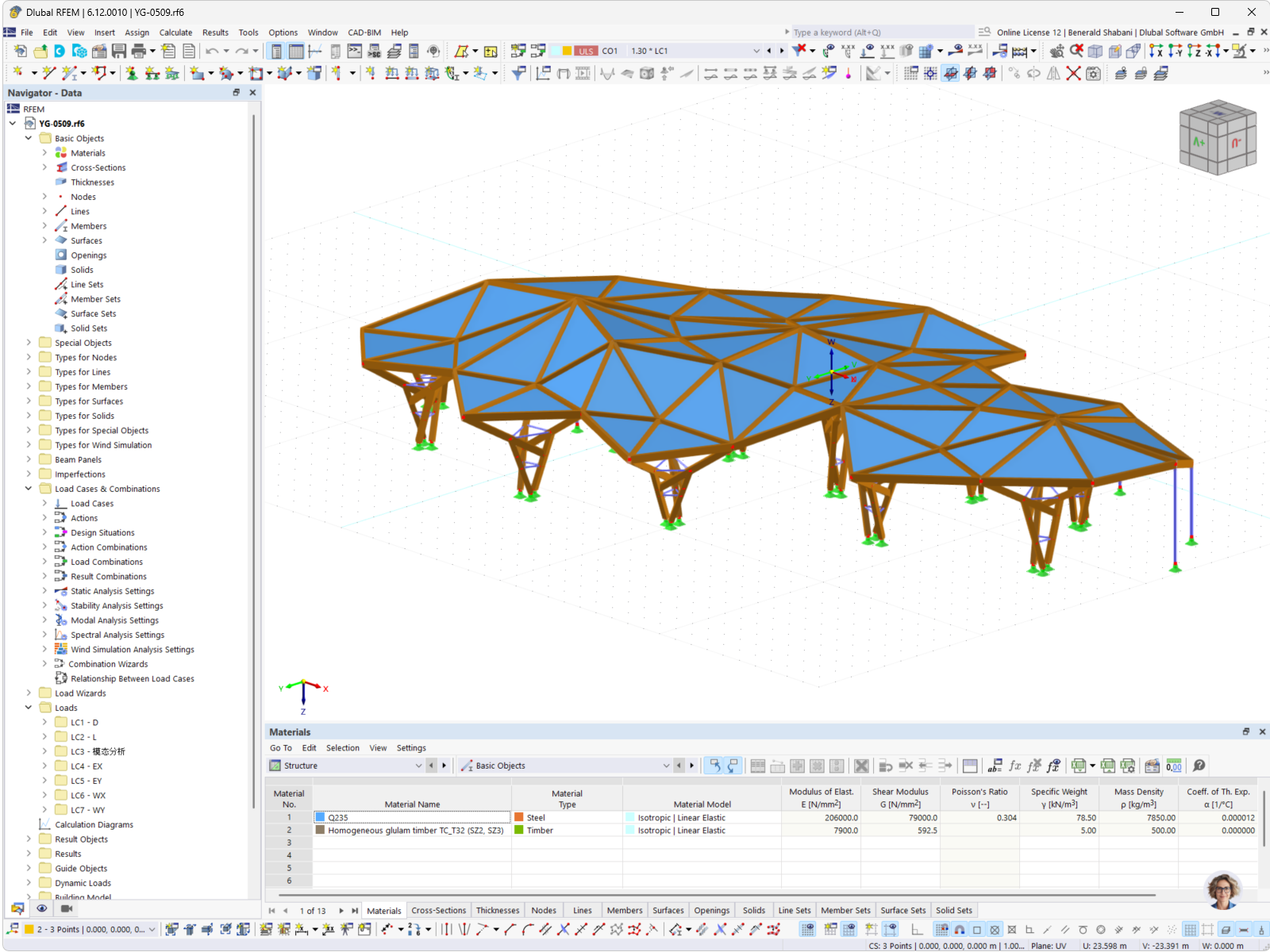 Modelo de RFEM de una estructura de techo de madera laminada encolada minuciosamente elaborada, con un diseño de geometría complejo.