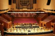 Vista interior de la sala de conciertos de la Ópera de Sídney con arquitectura acústica moderna.