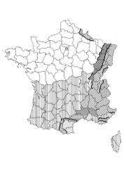 Zones de neige en France métropolitaine