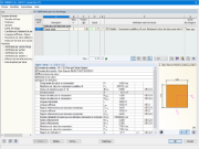 Module additionnel RF-TIMBER CSA